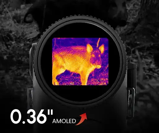 4.Upgradedvisuals,enlargedAMOLEDDisplay_结果_结果.webp
