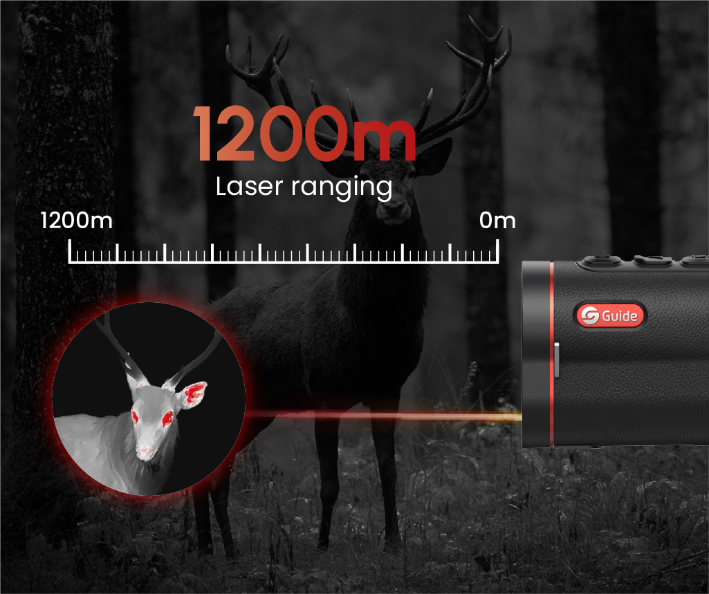 画板 33 副本 12@2x-100(1).jpg