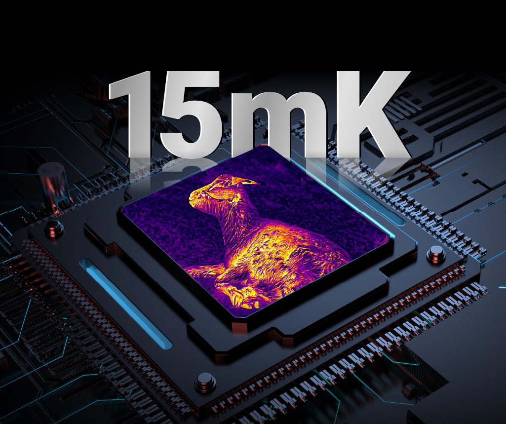 画板 33 副本 2@2x-100.jpg