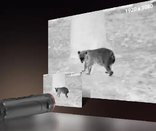Thermal binoculars
