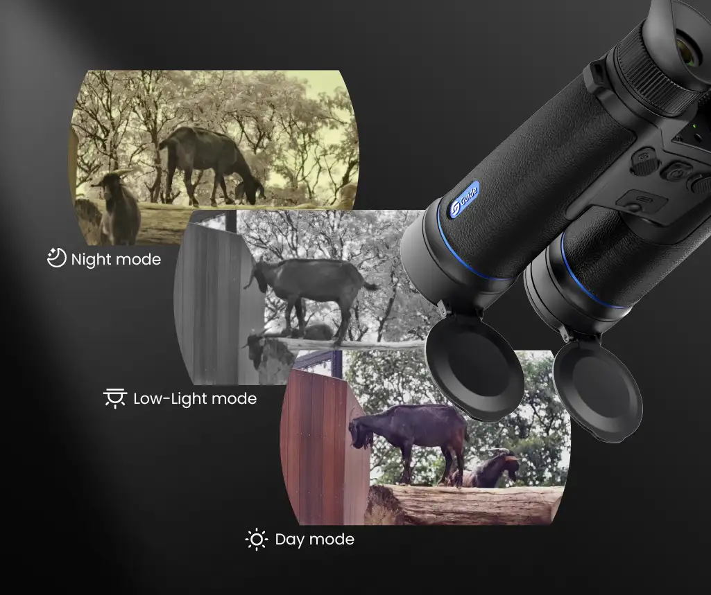 handheld digital binoculars