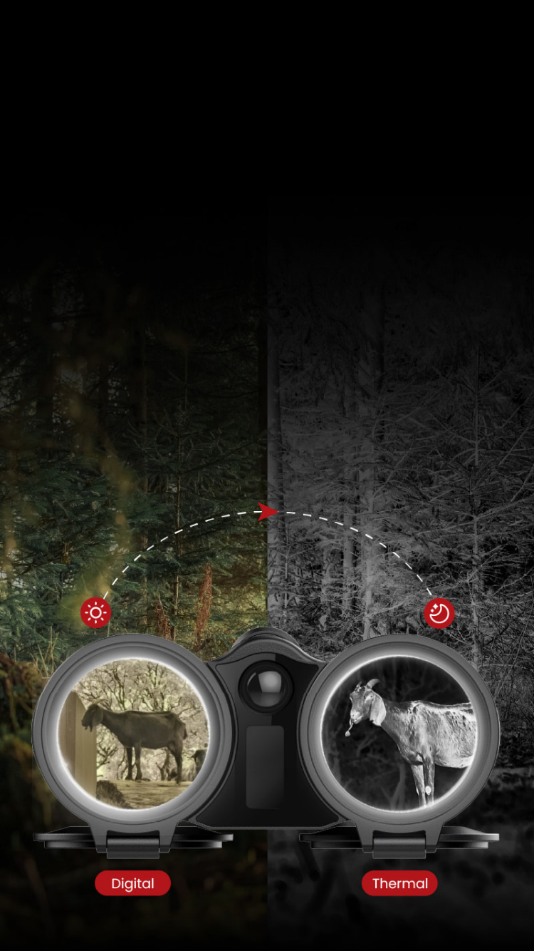 Thermal & Digital <br>All-Weather