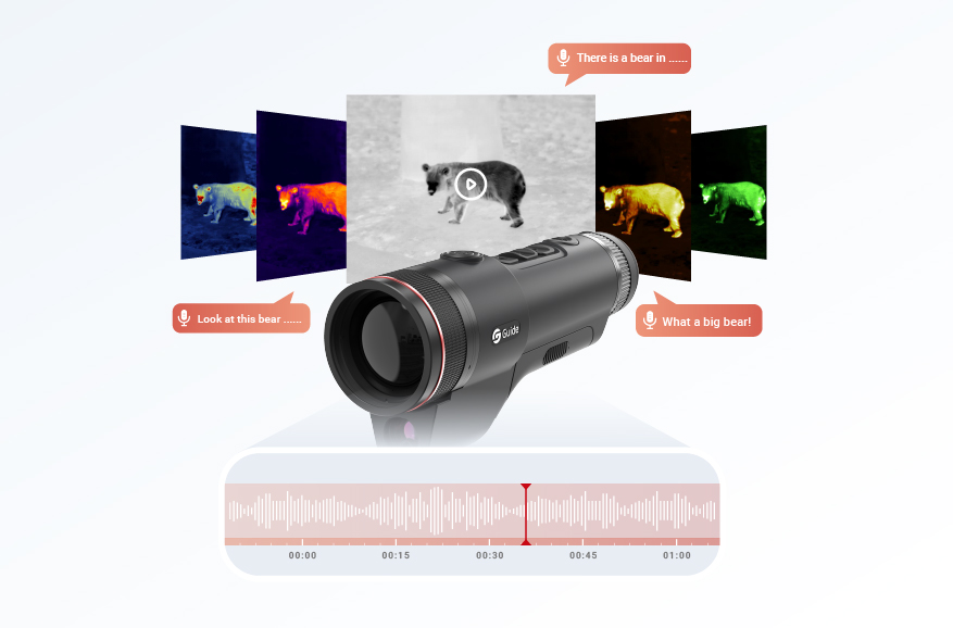 Video recording including sound