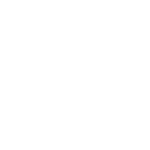 Zoom ring