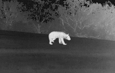 How pixel pitch affects thermal imaging quality: A guide to choosing the best thermalimager