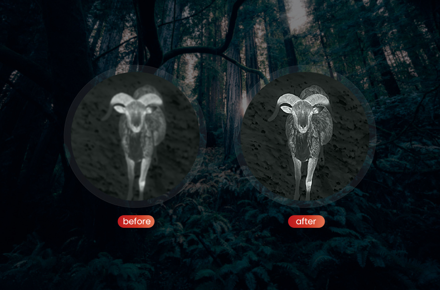 PureIR Adaptive Dynamic Filtering Algorithm (PureIR)