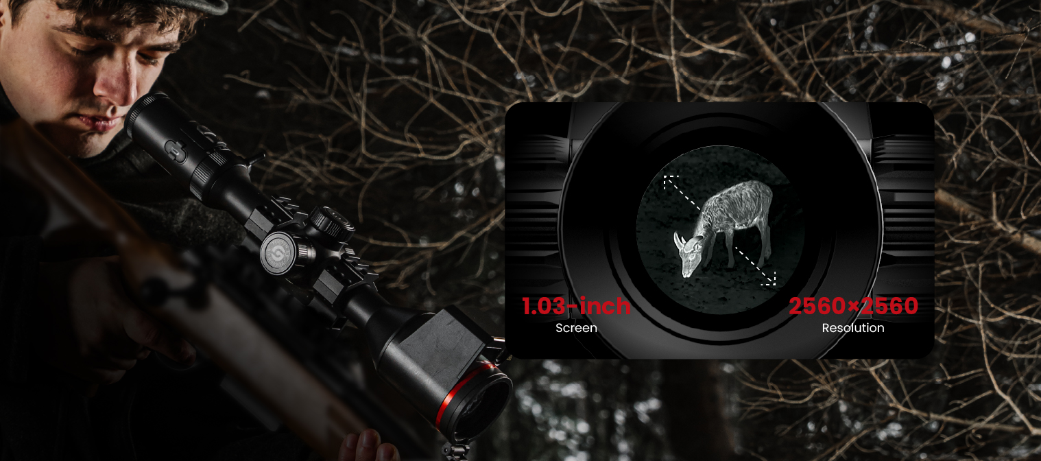 QHD AMOLED Display<br>Comfortable Viewing
